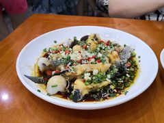 -全乐鱼馆·淳牌有机鱼直营店