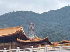 -深圳仙湖植物园