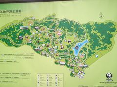 景点-成都大熊猫繁育研究基地