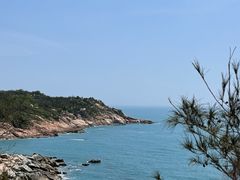 -广东惠东海龟国家级自然保护区
