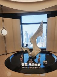 -智美品质医美