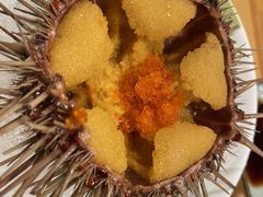 海胆刺身-晶吉·居酒屋·烧鸟·海胆(民主广场店)