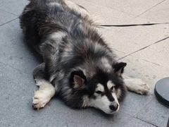 -大悦城(沈阳中街店)