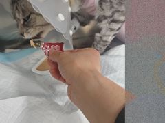 -达爱动物医院·犬猫分区·CT·复杂眼科(远洋山水分院)