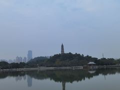 -顺峰山公园
