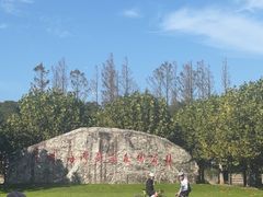 -上海海湾国家森林公园