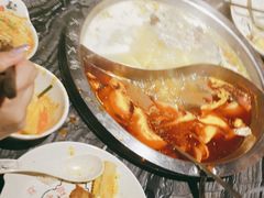 成都牛油麻辣鸳鸯锅-天都火锅酒楼(虹梅南路店)