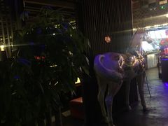 -幸福里时光餐吧