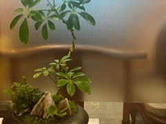 -裕和堂中医推拿艾灸(太古汇臻品店)