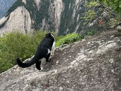 -华山风景名胜区