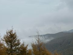 -苏木山森林公园