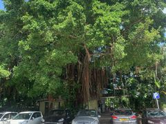 -胜记士多小食店