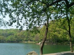 -紫霞湖公园