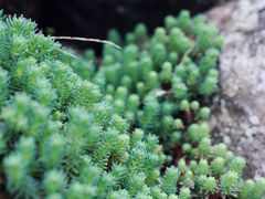 -MOJ coffee(瓯海泽雅水碓坑店)