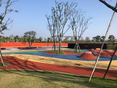 -春花秋色城市公园