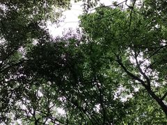 -宝岩生态观光园