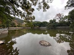 -阿育王寺