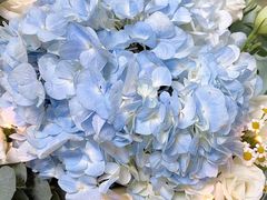 -花仙女鲜花店
