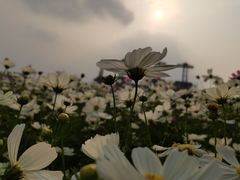 -海心沙亚运公园