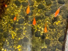 -邈墨茶馆(凤起路店)