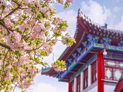-济南大明湖景区