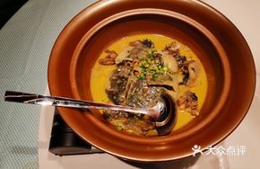 Freshwater Turtle Stew