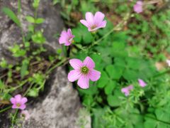 -南溪山景区