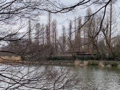 -井之头恩赐公园