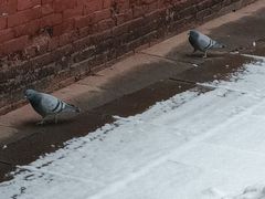 -少林寺欢喜地素斋馆