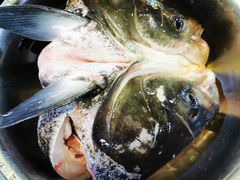 -好灶头妈妈菜·柴火灶台鱼·千岛湖土菜地标美食