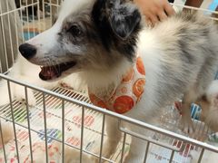 -银隆百货(萧山店)