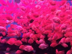 -多彩贵州城极地海洋世界