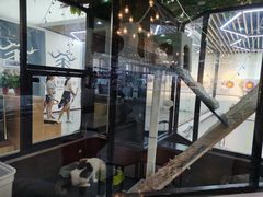 -弓舍射箭俱乐部(高新总店)