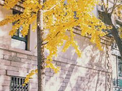 -山东大学(趵突泉校区)