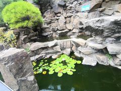 -老外街