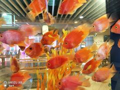 -玲珑汤泉生活会馆(花桥店)