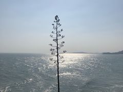 -漳州滨海火山岛自然生态风景区