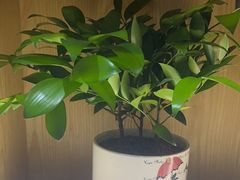 -荷花亭·湖北融合菜(十堰武商MALL店)