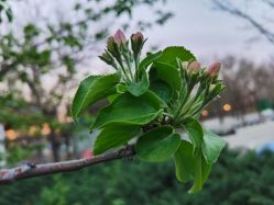 -大望京儿童游乐场