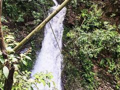 -大余丫山旅游度假区