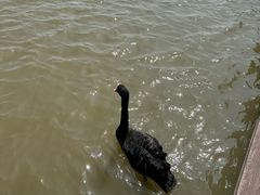 -宁波杭州湾国家湿地公园