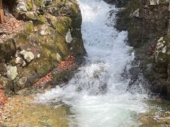 -本溪汤沟绿石谷森林公园