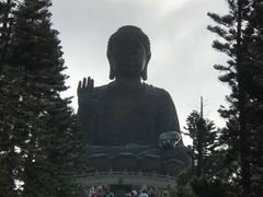 -翠华餐厅