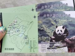 -卧龙中华大熊猫苑神树坪基地