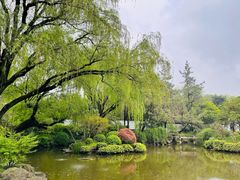 -秋霞圃