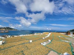 -枸杞岛