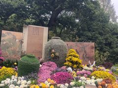 -杭州植物园