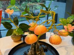 -天瑞轩·粤菜餐厅