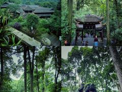 -峨眉山风景名胜区