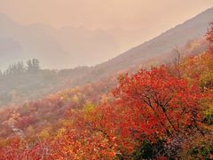 -周口店坡峰岭风景区
